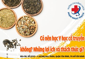 Có nên học Y học cổ truyền không? Những lợi ích và thách thức