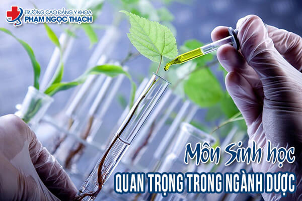 Sinh học là môn quan trọng trong ngành Dược