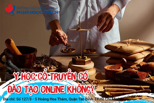 Y học cổ truyền có đào tạo online không?