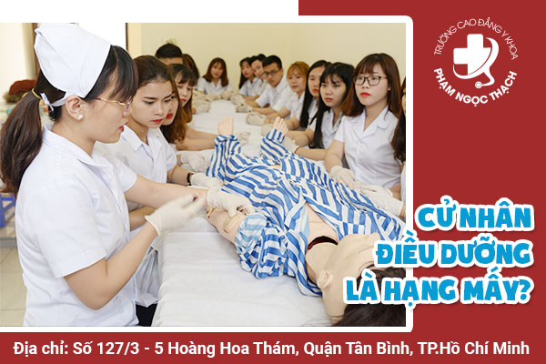 Cử nhân Điều dưỡng là hạng mấy?