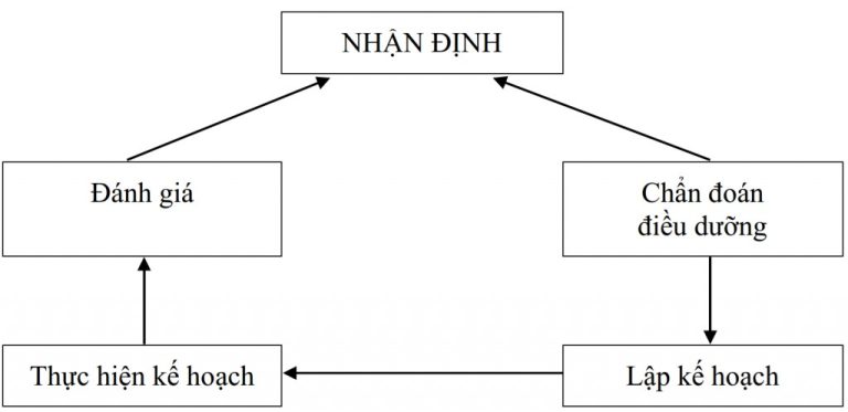 Chi tiết 5 đúng trong quy trình Điều dưỡng