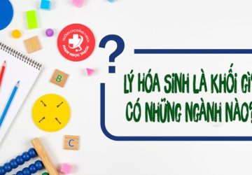 Lý Hóa Sinh là khối gì? Có những ngành nào?