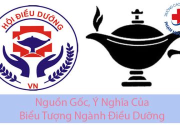 Biểu tượng ngành Điều dưỡng là gì? Nguồn gốc và ý nghĩa chi tiết
