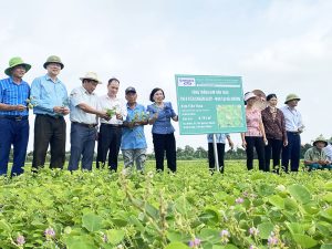 Để đạt chứng nhận GACP, cơ sở nuôi trồng và thu hái dược liệu cần đáp ứng các tiêu chuẩn về chất lượng, an toàn và quản lý theo quy định của cơ quan có thẩm quyền