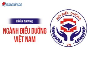 Biểu tượng ngành Điều dưỡng Việt Nam