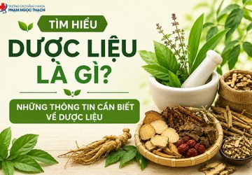 Dược liệu là gì? Tìm hiểu dược liệu học và cách học hiệu quả