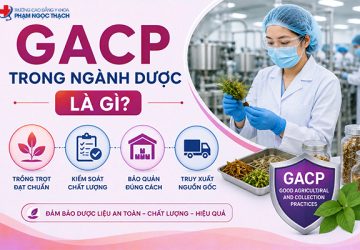 GACP trong ngành Dược là gì? Lợi ích khi áp dụng GACP