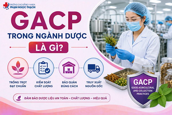 Chú thích 2:GACP là một trong những tiêu chuẩn quan trọng góp phần xây dựng nguồn dược liệu sạch, an toàn và đạt chất lượng theo yêu cầu của ngành Dược hiện đại