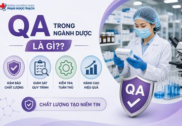 QA ngành Dược là gì? Công việc, kỹ năng và lộ trình phát triển